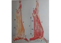 Can the net harness a bunch of volunteers to help bring books in the public domain to life through podcasting? Agneau Pre Sale