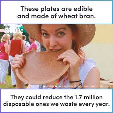 Long Spoon Catering and Education