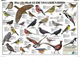 Get Your Free Garden Bird Wall Chart In This Weeks Mail On