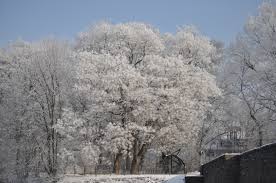 Willkommen auf der homepage der hochschule für telekommunikation leipzig. Leipzig Im Schnee Foto Bild Jahreszeiten Winter Natur Bilder Auf Fotocommunity