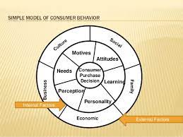 Consumer Behaviour External Factors