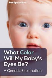 Eye Color Genetics Chart