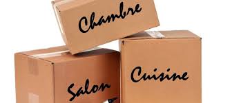 Achetez en toute confiance et sécurité sur ebay! Recuperer Gratuitement Des Cartons Pour Un Demenagement