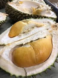 Buah durian ini diberi nama durian duri landak sempena dengan durinya yang kelihatan hanya durian kampung! Musim Durian 2019 Di Pulau Pinang Kini Kembali