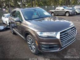 Image result for Argus Brown 2019 Audi