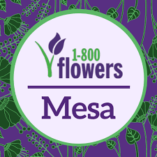 However, over the past three years, on average, new agents leaving quantico have been assigned to one of their top five ranked offices. 1 800 Flowers Mesa Home Facebook