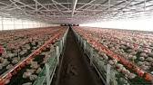 The company's line of business includes manufacturing food products machinery. Agco Gsi Malaysia Juru Project Youtube