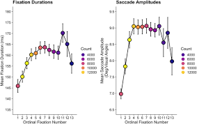 Image result for Visual Fixation