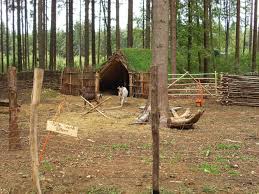 Campus Galli Bei Den Ziegen Ziege Schafzaun Gehege