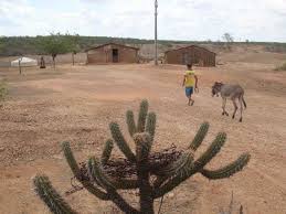 Acesso a cisternas melhora saúde e aumenta peso de bebês, aponta pesquisa -  Ceará - Diário do Nordeste