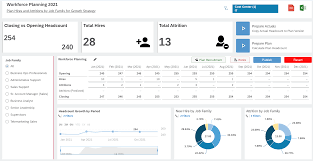 This will include default values for conditional. Workforce Planning Sac Analytic Application Template Sap Blogs