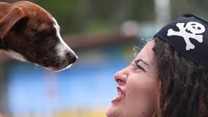 Want to adopt 'Jack Sparrow'?