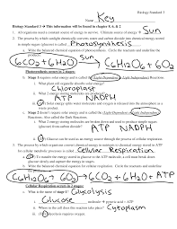 Although mobile breathing has a couple of elements, the simple chemical equation is: Http Www Bcsdschools Net Cms Lib010 Sc01916775 Centricity Domain 2111 Bio 20eoc 20standard 203 20review 20 20answers Pdf