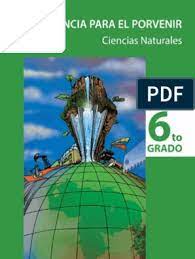 Check spelling or type a new query. Coleccion Bicentenario Ciencias Naturales 6to Red Alimentaria Neurona