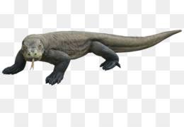 Check spelling or type a new query. Kadal Gambar Komodo Dragon Gambar Png