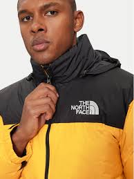 Dane Mix Great Danes To Adopt Near Me Dane Price Great Dane Puppies Near Me  For Sale Great Dane Rehome