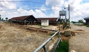 34 reviews for bahasa melayu tahun 5. Pembubaran Rph Terancam Gagal Rahman Pemkot Tetap Lahirkan Uptd Pemotongan Hewan Fajar