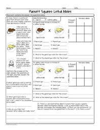 Dihybrid cross practice worksheet answer key, dihybrid cross worksheet answer key and pea plant. Homework Help Genetics Two Trait Cross The Beaker Life