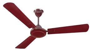 Fan is the story of gaurav (shah rukh khan) a young man, 20 something, whose world revolves around the. Havells Launches India S First Air Purifying Ceiling Fan