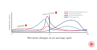 Progesterone Definition Levels Symptoms Of Low