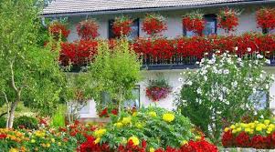 Membuat taman kecil di depan rumah terdengar sangat sepele. Katil Bunga Dengan Tangan Mereka Sendiri 173 Foto Hiasan Taman Taman Bunga Di Negara Ini Dan Di Halaman Untuk Pemula Contoh Contoh Indah Komposisi Batu Cara Membuat Dari Bahan Sampah