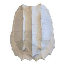 Alligator Snapping Turtle Shell Replica Wall Decor Turtle Shell Alligator Snapping Turtle Coastal Style