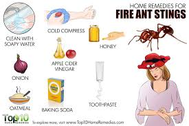 We want to say thanks for reading this article on homemade ant killer recipes. Home Remedies For Fire Ant Stings Top 10 Home Remedies
