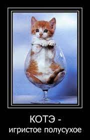 Скачать прикольные и красивые картинки: Демотиватор про кота на  fun.tochka.net