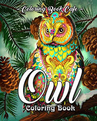 Christmas owl on book vector. Owl Coloring Book A Coloring Book For Adults Featuring Beautiful Cute And Majestic Owl Designs For Stress Relief And Relaxation Pricepulse