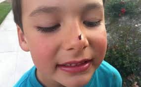 Wie het dit probeer met ñ roosdoring ❤️