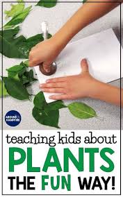 Plant Life Cycle Activities Fun Hands On Science For Kids Around The Kampfire Teaching Plants Plants Life Cycle Activities Plant Life Cycle
