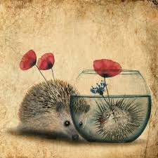 Amour Impossible Hedgehog Art Whimsical Art Card Art