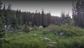 This list of salt lake city rv parks is brought to you by travellers autobarn. Redman Campground Slrd 4 Photos Salt Lake City Ut Roverpass