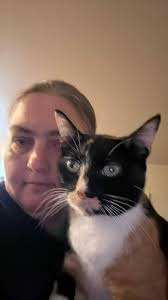 What happened at the bottom of Capital Hill?