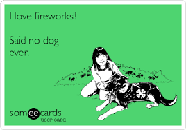 I Love Fireworks Said No Dog Ever Dogs My Love Fireworks