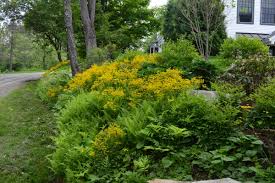 Maybe you would like to learn more about one of these? Expert Tips On How To Create A Low Maintenance Hillside Garden Horticulture