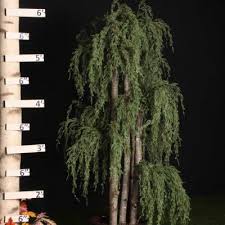 Bright green foliage on gracefully arching branches turns to. Artificial Cypress Tree Treescapes Plantworks