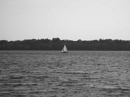 2008 PRESIDENTS MESSAGE COMMUNICATIONS COMMITTEE 2008 STATE OFFICERS  REFLECTIONS ON NURSING