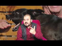 Ruyada Kopek Gormek Nedir Ruya Tabirleri Ruyada Kopek Gormek Ne Anlama Gelir Huseyin Duru Youtube