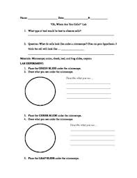 We did not find results for: Plant And Animal Cell Lab Sheet By Teaching With Techknowledgey Tpt
