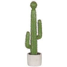 Learn more about the candelabra tree & buy online from patch. Tall Cactus Home Accents Afw Com