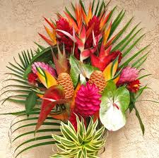 We did not find results for: Kalani Tropicals Order Tropical Flowers Shipped Direct From Our Flower Farm On Kauai Hawaii
