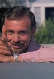 I saw about 20 turkeys roosting in a pine tree. I could have filled up the  freezer if it was in season. They look just like this one