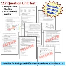 Dna replication & protein synthesis this isn t a baaaaaaaddd chapter!!! Dna Rna Protein Synthesis Test Printable And Digital Distance Learning