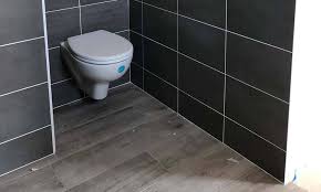 Maybe you would like to learn more about one of these? Remplacer Des Wc A Poser Par Des Toilettes Suspendues