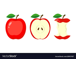 Whole Red Apple Half Apple Slice Bitten Apple Vector Image On Vectorstock In 2020 Apple Vector Red Apple Vector Illustration