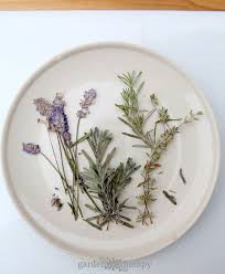Press some herbs from your garden in a book or flower press to dry for a couple of weeks. Evergreen Pressed Rosemary Candles How To Make Herbal Candles