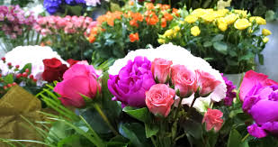 We did not find results for: Despre Noi Cei Care Suntem De 18 Ani In Spatele Florariei Flori Deosebite