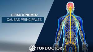 Over 70 million people worldwide live with various forms of dysautonomia. Disautonomia Causas Principales Youtube