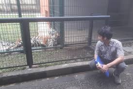 Kumpulan contoh surat permohonan hewan qurban yang benar 2019. Miliki Harimau Bksda Jabar Datangi Sepupu Raffi Ahmad Republika Online